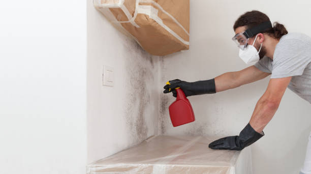 Professional Mold Remediation technician working in Linden, NC