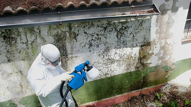 Top rated local Mold Remediation specialists in Linden, NC